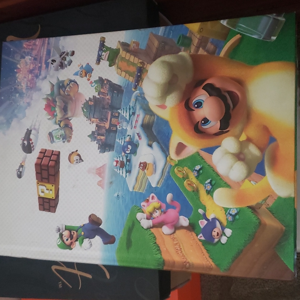 Super Mario Brothers 3d world game book. Unwrapped but in excellent condition.